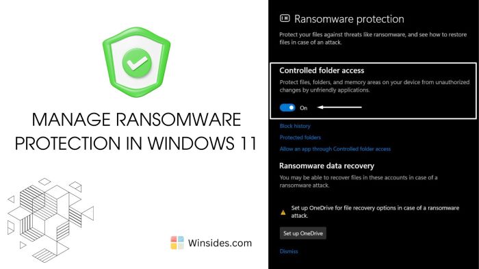 Ransomware protection software for PC